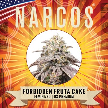 Narcos Forbidden Fruta Cake Feminized