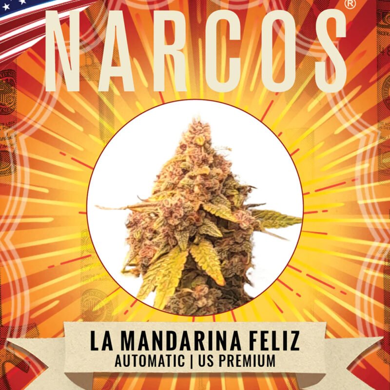 Narcos La Mandarina Feliz Autoflowering