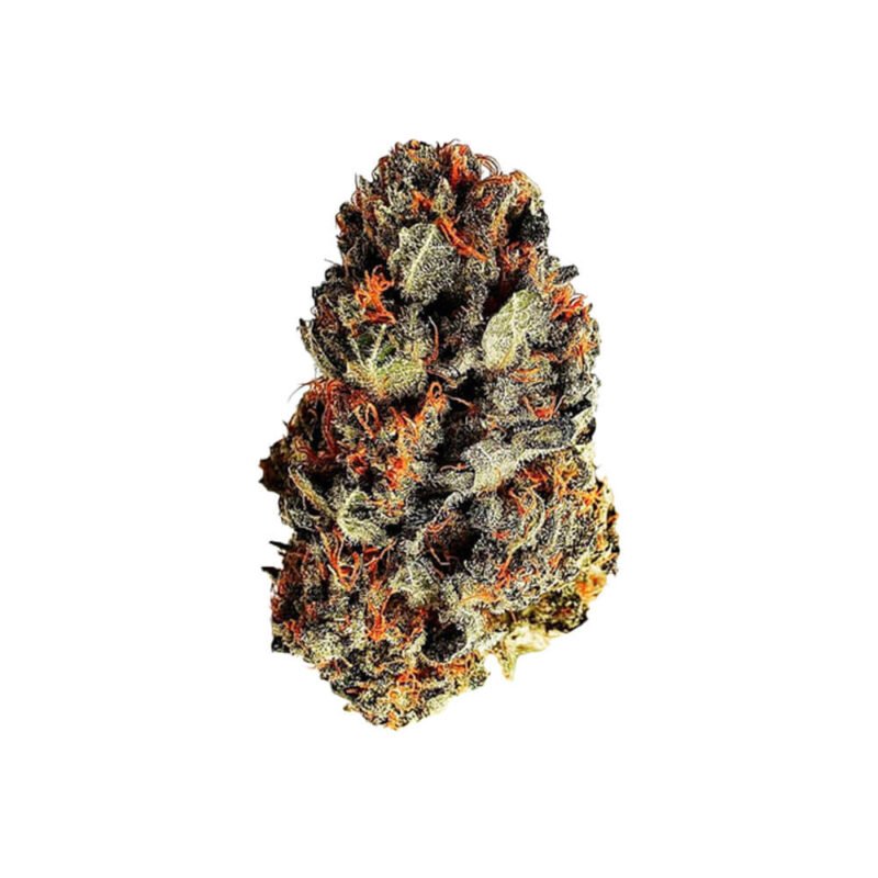 Royal Queen Seeds Dance World CBD cannabis seeds