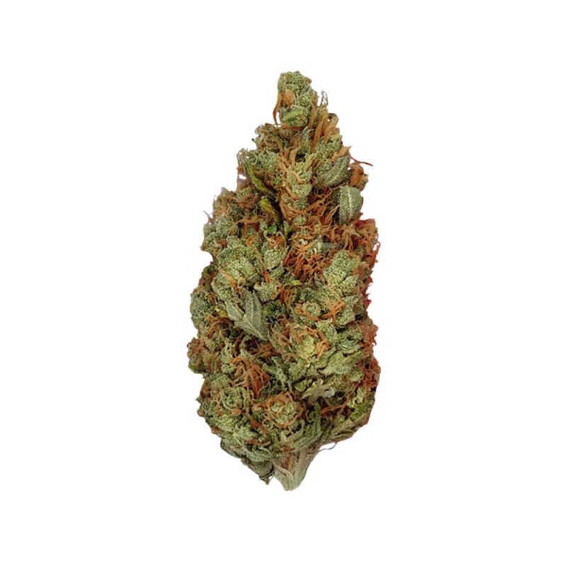 Royal Queen Seeds Green Gelato feminized cannabis seeds